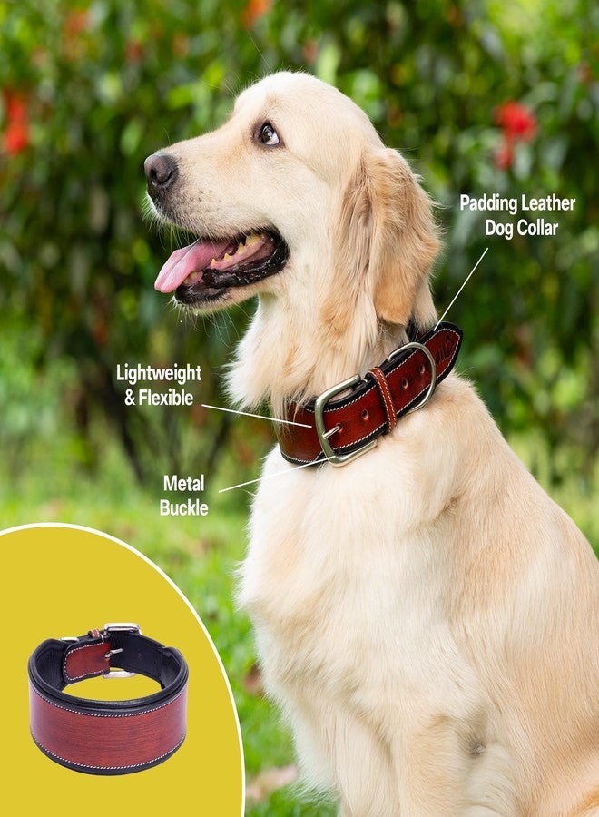 ADIL'S Adil’S supertails Genuine Leather Black Edge Dog Collar 2.5 Inch Width, Heavy Duty, Adjustable Leather Handmade Dog Collar with Strong Metal Buckle, Neck Size: 12” to 26” Color: Orange Brown - Image 4